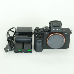 SONY α6600 ボディ ミラーレス一眼 バッテリー ストラップ付 - メルカリ