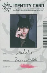 &TEAM 通常盤 NICHOLAS Go in Blind (月狼) IDカード