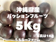 沖縄県産パッションフルーツ　家庭用6kg 沖縄県産パッションフルーツ 家庭用6kg - メルカリ