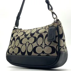 極美品● COACH コーチ ショルダーバッグ アクセサリーポーチ シグネチャー キャンバス レザー