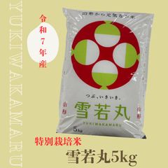 雪若丸 精米 5kg×2袋 山形県産 精米R8.1下旬 - メルカリ