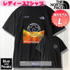 THE NORTH FACE 半袖Tシャツ Strange Colorfull World Flower Field Tee レディース, カラー；Black, サイズ；L