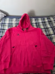 ナイキ ACG プルオーバー ラッシュピンク フード付きTシャツ BQ3453-667 XXL海外モデル