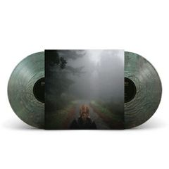 FINN WOLFHARD 日本限定版レコード ポスター付 - メルカリ