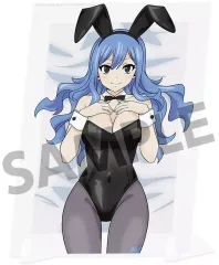 2026年最新】ジュビア・ロクサーの人気アイテム - メルカリ