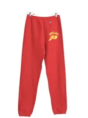 【お得なクーポン配布中!】 90s USA製 チャンピオン リバースウィーブ スウェット パンツ メンズ レディース M / オールド ウィングフット プリント トレーナー 裏起毛