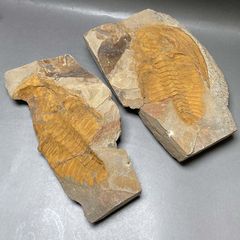 ☆硯 中国古玩 端渓硯 裏に銘有 花に飛鶴図 重さ2.7kg - メルカリ