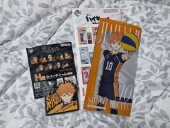 ハイキュー最強の挑戦者 日向