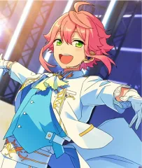 あんさんぶるスターズ！ 姫宮 桃李 Fine ユニット衣装 コスプレ フルセット