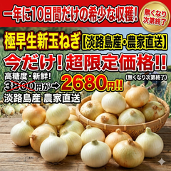 【大特価‼️今だけ】淡路島　新玉ねぎ　極早生　玉ねぎ5kg