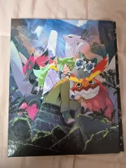 ポケットモンスター カード コレクション ファイル セット N 出品