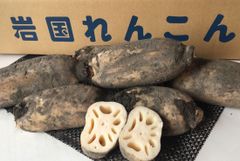 ひめ様　京都山城産　朝掘り筍3kg関東クール便 ひめ様 京都山城産 朝掘り筍3kg関東クール便 - メルカリ