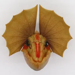 【中古】マグネット・磁石 イャンクック モンスターヘッドマグネット 「一番くじ モンスターハンターワイルズ」 C賞