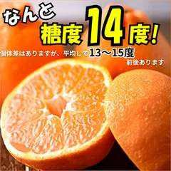 クール便！しらぬい 約10kg 甘い糖度14度 濃厚 熊本産 不知火 訳アリ Mサイズ 青果店厳選 デコポン系 家庭用のサムネイル