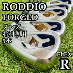 激レア】豪華8本 ロッディオ フォージド2016 メンズアイアンセット S