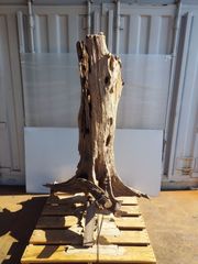 ◉KARE Design◉ Scultra スカルトラ 流木 フロアランプ - メルカリ