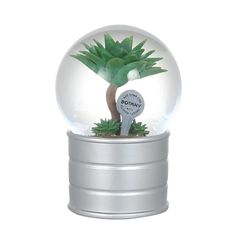 DULTON スノードーム　PLANTS WATER GLOBE 3点セット DULTON スノードーム 3点セットPLANTS WATER GLOBE - メルカリ
