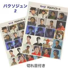 ２枚セット パクソジュン 切れ目付き ミニ シール ステッカー チロルチョコ 韓流 グッズ fu002-2のサムネイル