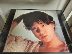 <限定版 LP 】 なかもり 三枝 明那 ピクチャーディスク