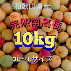 露茜 梅ジュース用 5kg 冷凍 和歌山県産 新品種 - メルカリ