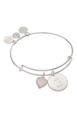 アレックスアンドアニ レディース アクセサリー ブレスレット・バングル・アンクレット Alex and Ani Wild At Heart Duo Charm Bangle Bracelet Silver シルバー