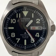 稼動】 激レア CITIZEN プロマスター ロバートスワン フルチタン