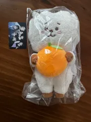 未開封 BT21 RJ 日本直购 귤 RJ