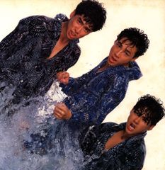 少年隊 翔 L-12617 サイン入り LP邦楽レコード 1986年 美盤 - メルカリ