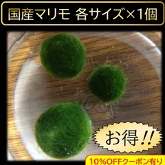 2026年最新】マリモの人気アイテム - メルカリ