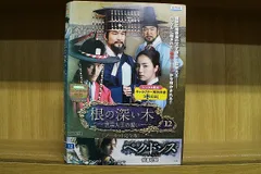 DVD 根の深い木 世宗大王の誓い 全12巻 ハン・ソッキュ チャン・ヒョク