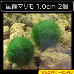 2026年最新】まりもの人気アイテム - メルカリ