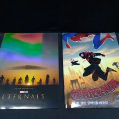 SPIDER MAN INTO THE SPIDER VERSE / ETERNALS [2-book set] Condition: Not good