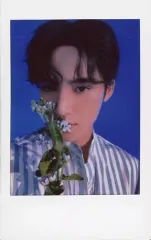 【中古】生写真(男性) SEVENTEEN/MINGYU(ミンギュ)/「SEVENTEEN 2022 JAPAN FANMEETING ’HANABI’」インスタントフォトカード(チェキ)