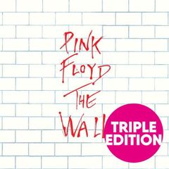 ピンクフロイド CD アルバム PINK FLOYD THE WALL EXPERIENCE EDITION 2011 REMASTER 3枚組 輸入盤 ピンク・フロイド ザ・ウォール