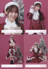 【中古】生写真(乃木坂46) ◇櫻坂46/向井純葉/櫻坂46ランダム生写真 【2025年 サンタ衣装】 4種コンプリートセット