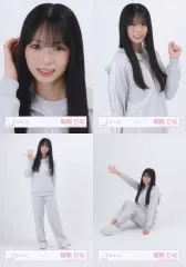 【中古】生写真(乃木坂46) ◇櫻坂46/稲熊ひな/櫻坂46ランダム生写真【ジャージ】 4種コンプリートセット