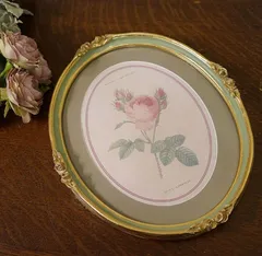 ルドゥーテ 薔薇 花 額絵 楕円バラのアート 壁掛けフレーム