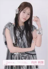 【中古】生写真(坂道シリーズ) 櫻坂46/向井純葉/上半身/櫻坂46ランダム生写真【「Unhappy birthday構文」ジャケット写真衣装】