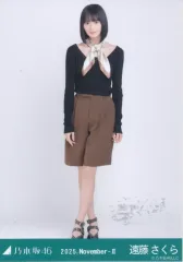 【中古】生写真(乃木坂46) 乃木坂46/遠藤さくら/全身・スカーフ/「乃木坂46 2025.November-II」WebShop 限定ランダム生写真