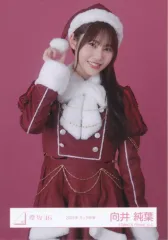 【中古】生写真(乃木坂46) 櫻坂46/向井純葉/上半身/櫻坂46ランダム生写真 【2025年 サンタ衣装】