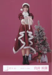 【中古】生写真(乃木坂46) 櫻坂46/向井純葉/全身/櫻坂46ランダム生写真 【2025年 サンタ衣装】