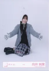 【中古】生写真(坂道シリーズ) 櫻坂46/向井純葉/座り/櫻坂46ランダム生写真【冬服】