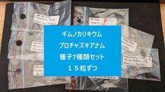 コピアポア種子 在庫整理のため 2025年春輸入種子 50粒セット - メルカリ