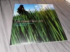 LP リリー(LILY) シュシュの まとめ売り モノ ー 呼吸器 @미사용