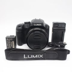 LUMIX FZ85 バッテリー2個 充電器 花形フード SDカード - メルカリ
