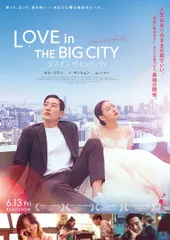 新品未開封★ ラブ・イン・ザ・ビッグシティ 豪華版 [DVD] キム・ゴウン ノ・サンヒョン 韓国のサムネイル