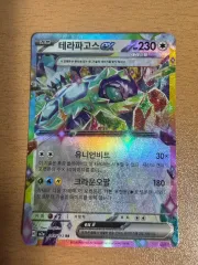 韓国) テラパゴスex rr m2a 145/193