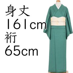梅乃【225】洗える 絽 色無地 紋なし 未使用 水色 お茶席 お宮参り