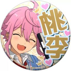 チルット　アクリルキーホルダー　メガトウキョーＲ ピカチュウやチルットたちとお祝いしよう！ ポケモンセンターメガ