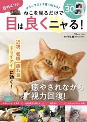 布団ちゃん 日めくりカレンダー イマジナリー彼女編 傷・汚れあり